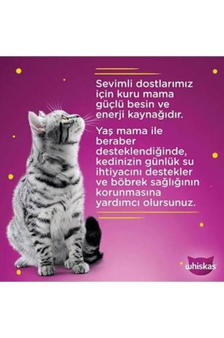 Whiskas Pouch Jöle Içinde Kuzulu Yetişkin Kedi Konservesi 28X85 gr