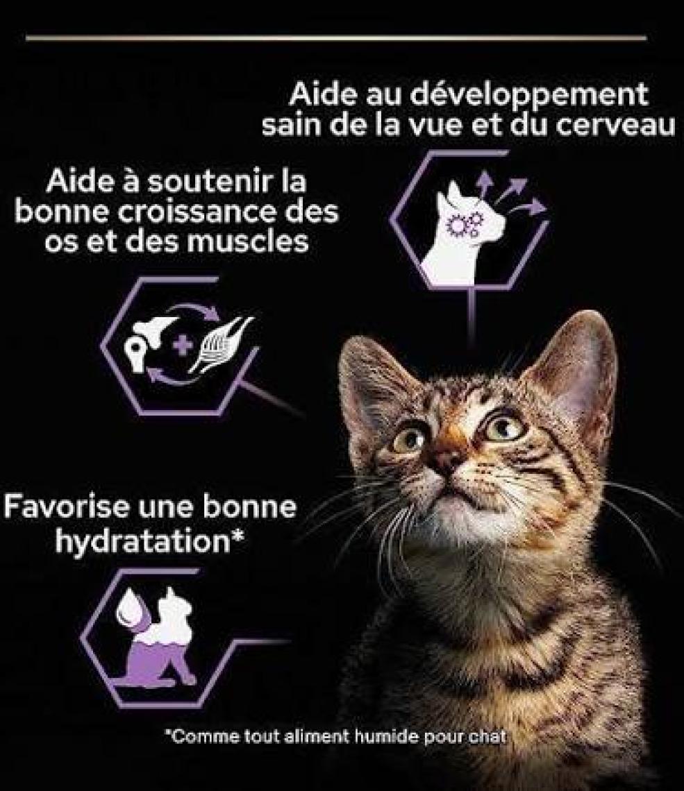 Purina Proplan Baby Kitten Bebek Kedi Maması 85 G