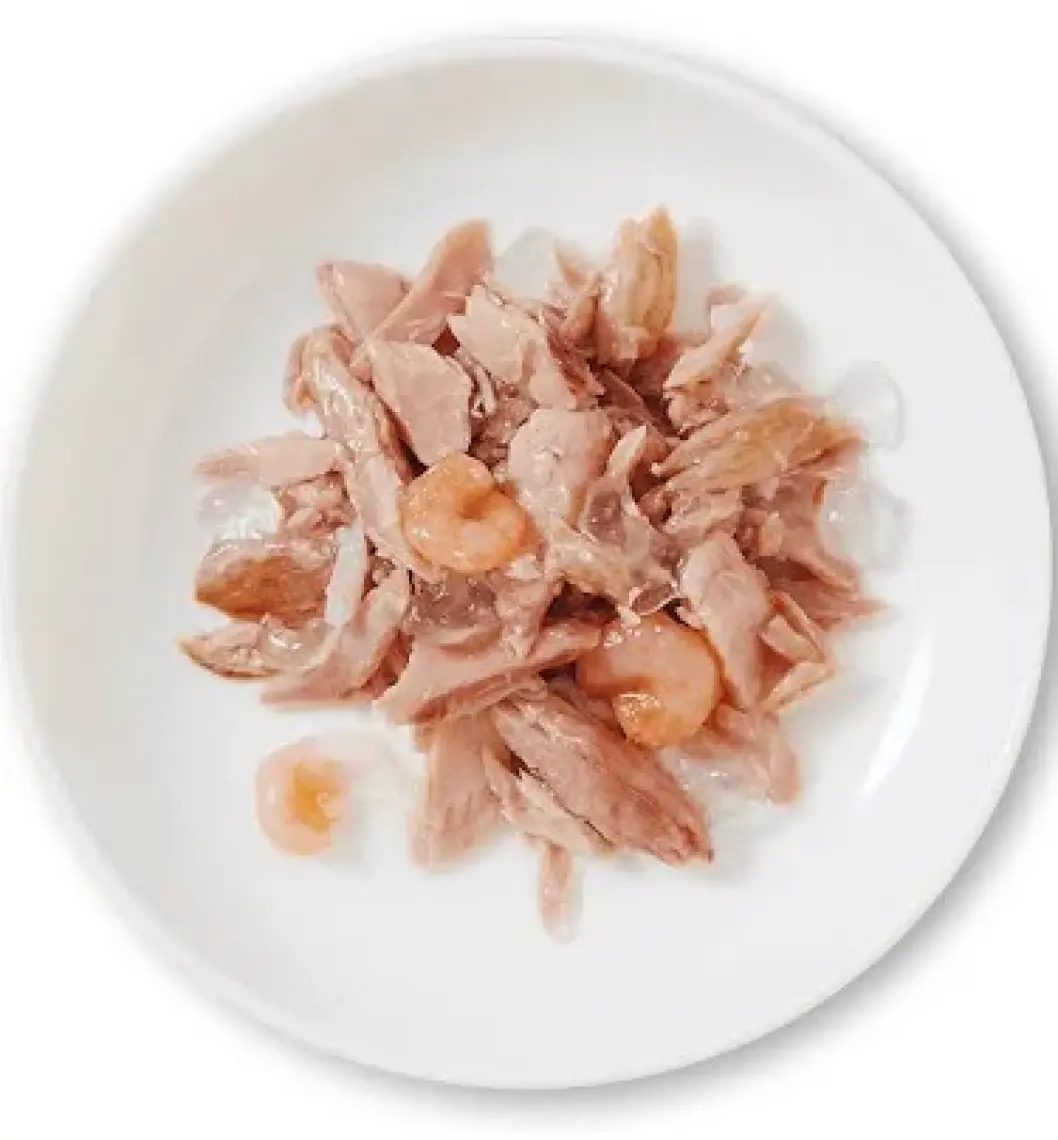 Schesir Ton Balıklı Ve Karidesli Jöleli Kedi Konservesi 85gr