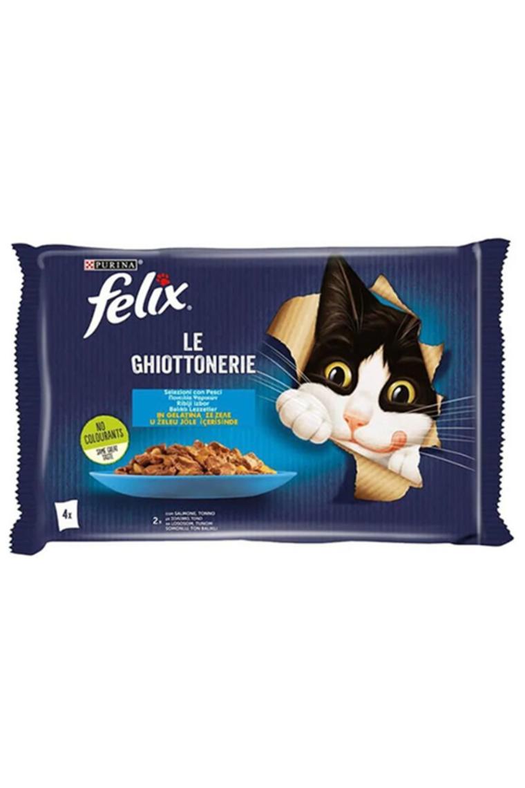 Multipack Somonlu Ve Ton Balıklı Yetişkin Kedi Konservesi 4x85 gr
