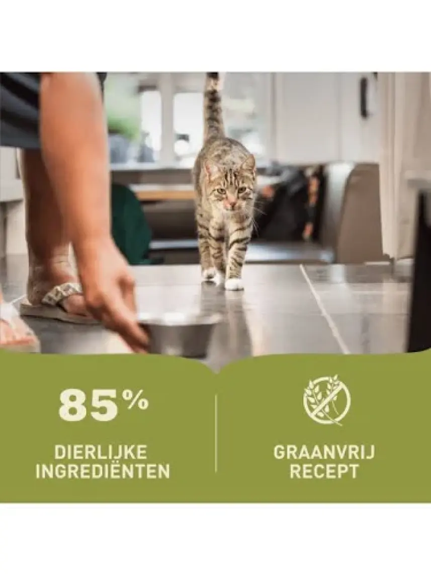 Acana Premium Pate (Ezme) Tavuklu ve Balıklı Yavru Kedi Konservesi 85 Gr