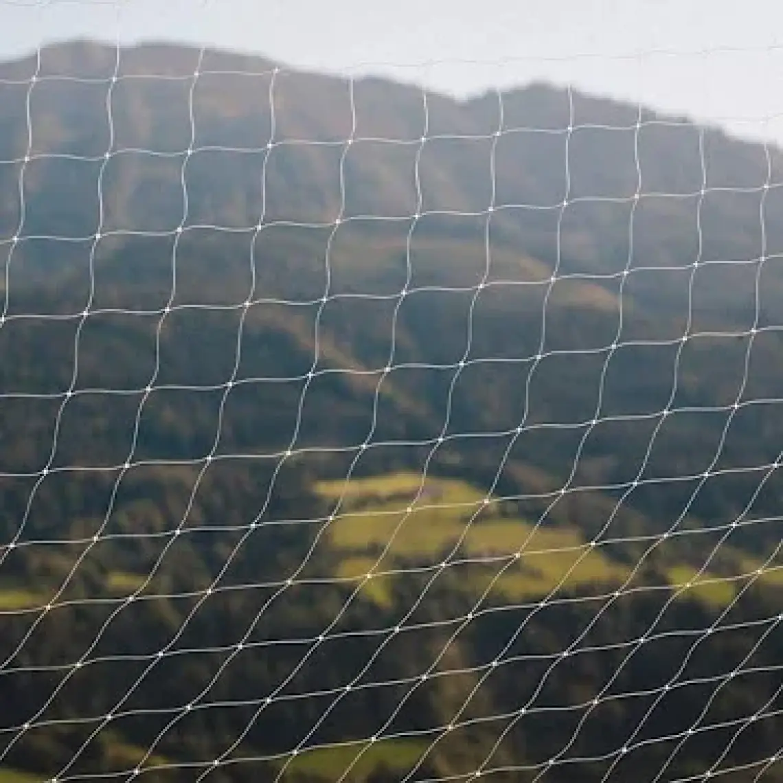 Pawise Balkon Kedi Koruma Şeffaf Ağ 4x3M