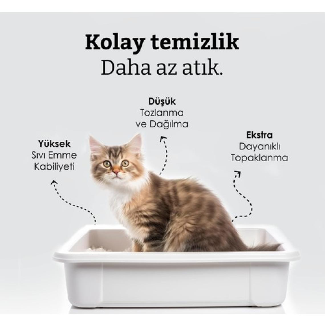 Catplus Aktif Karbon Kedi Kumu 10 Lt x 2 Adet
