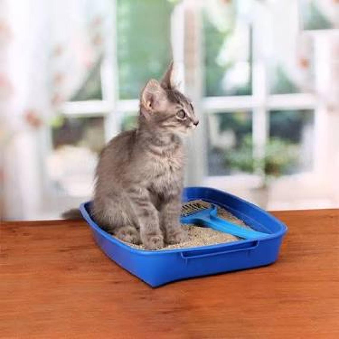 Pro Line Kedi Kumu