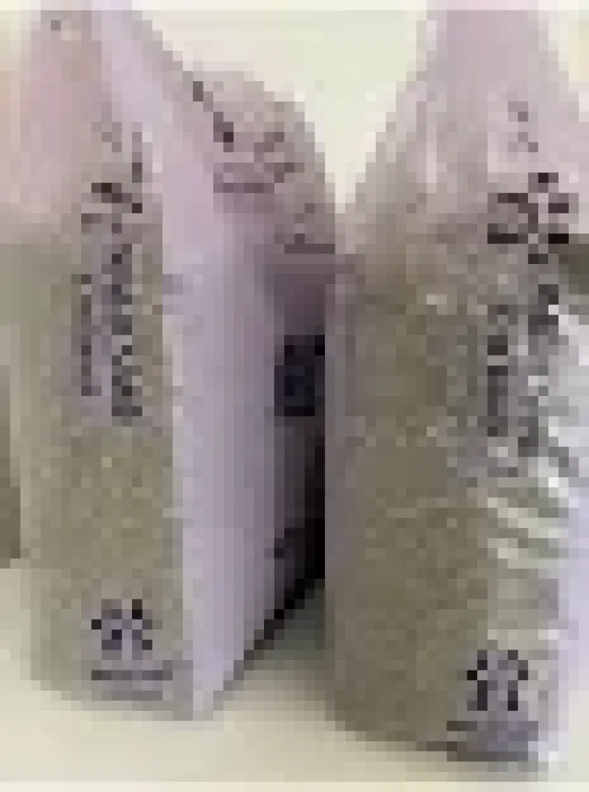 Magicsand Lavanta Kokulu Kedi Kumu 10 lt x 2 Adet