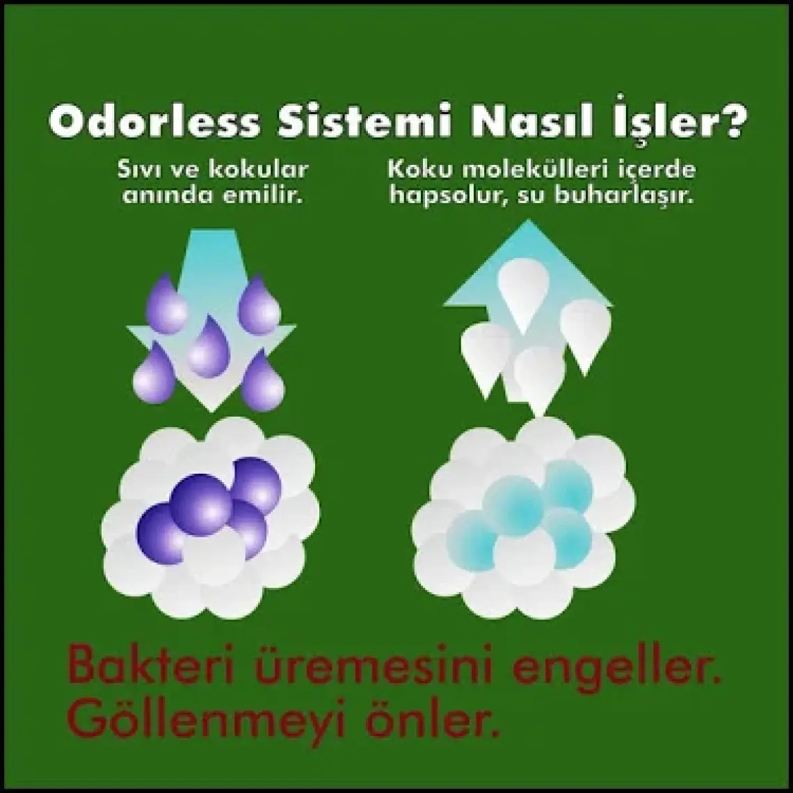 Odorless Micro Kristal Kedi Kumu 3.8 Lt - 1 Aylık