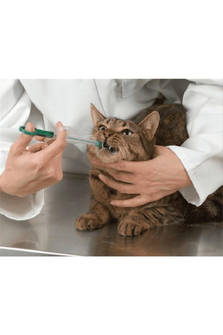 Anadolu Vet Kedi Hap Yutturma Enjektörü 2'li Set