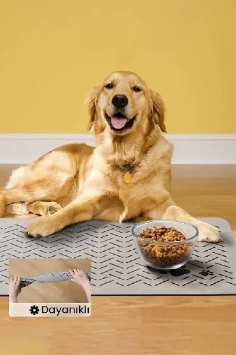 Matgo Pati Evcil Hayvan Besleme Matı Çizgi Patili Kaymaz Krem Rengi Kedi Köpek Mama Paspası 50 x 70 cm