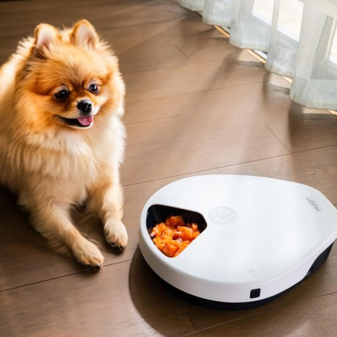 UBPet Akıllı Soğutuculu Yaş Mama Kabı, Otomatik Kedi-Köpek Besleyicileri, Uzun Ömürlü Soğutmalı Kuru ve Yaş Mama Servisi 3 Kademeli Soğutma Mod Ayarı