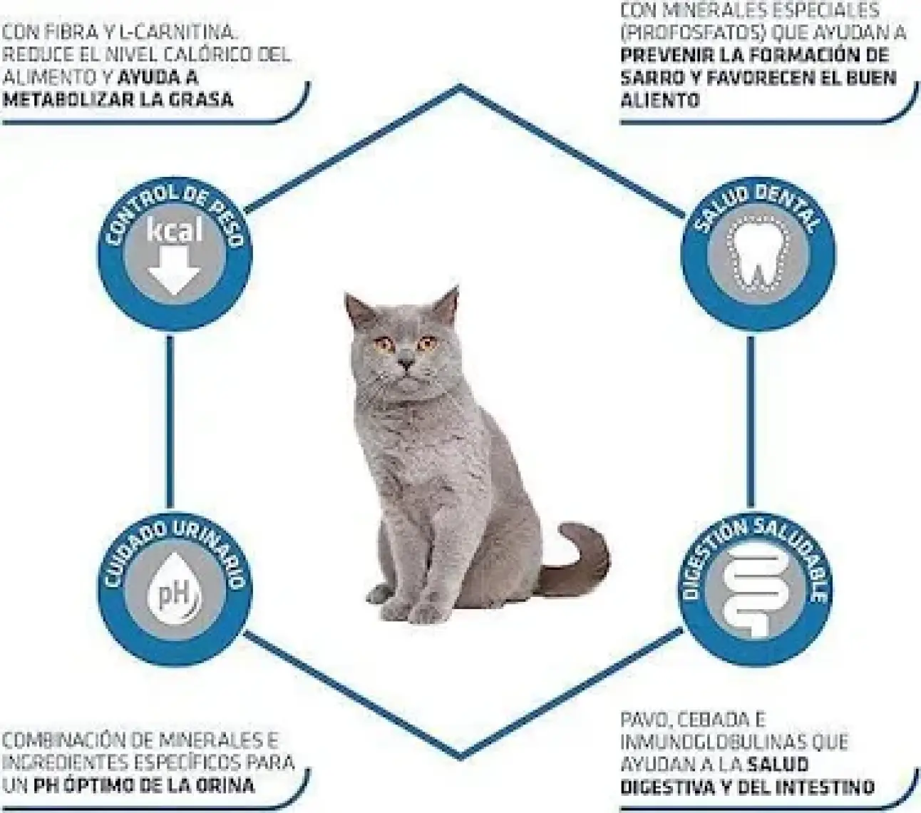 Advance Hindili Kısırlaştırılmış Kedi Maması 3 Kg
