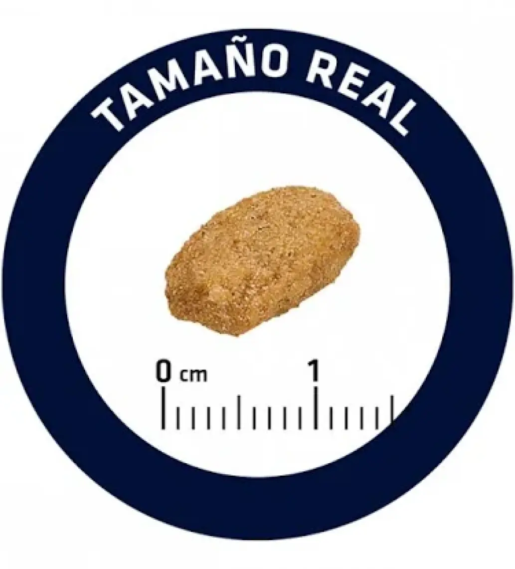 Advance Hindili Kısırlaştırılmış Kedi Maması 3 Kg