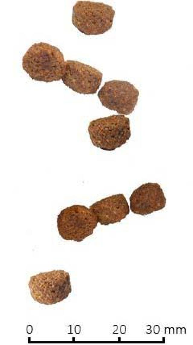 Nd Tavuk ve Narlı Tahılsız Kısırlaştırılmış Kedi Maması 10 Kg