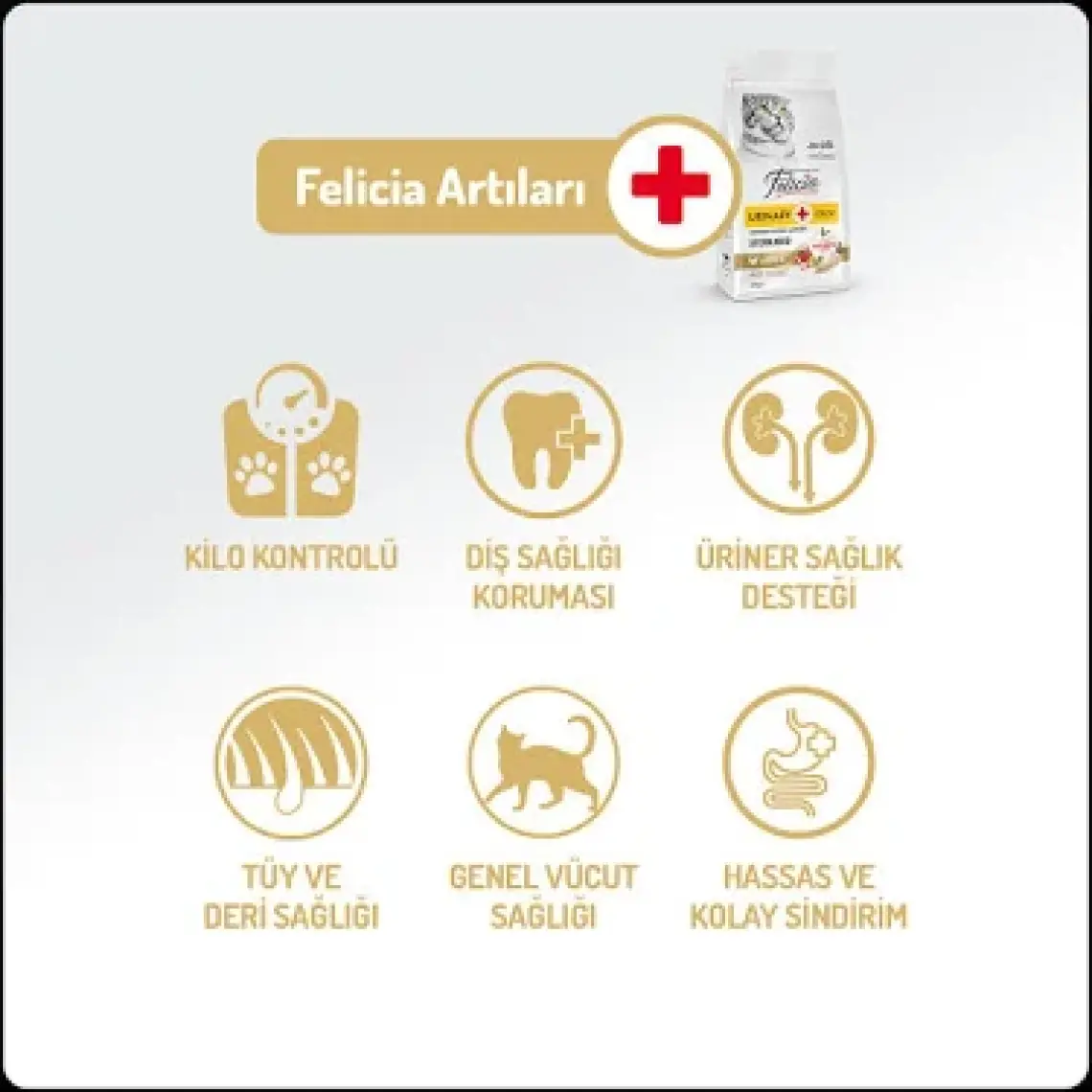 Felicia Düşük Tahıllı Hipoalerjenik Tavuklu Kısırlaştırılmış Yaşlı ve Yetişkin Kedi Maması 12kg