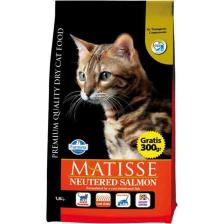 Matisse Neutered Salmon Kısırlaştırılmış Somonlu 10 kg Yetişkin Kuru Kedi Maması