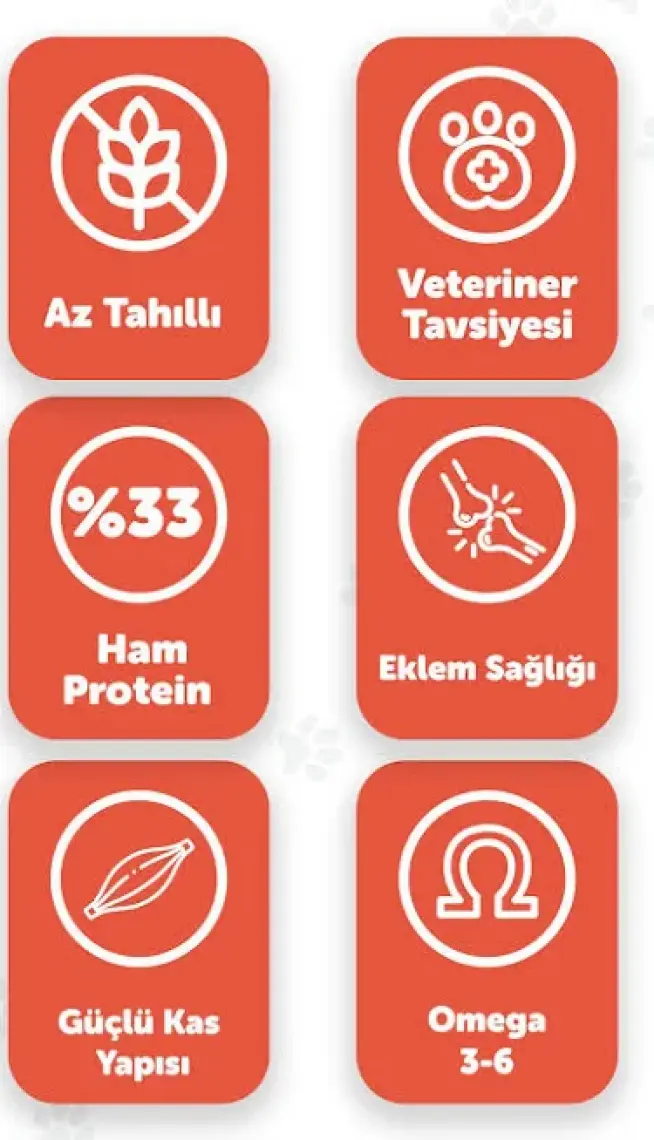 Pawgo Salmon Supreme 2 Kg  | Kısırlaştırılmış | Hypoallergenic | Somonlu | Kedi Maması