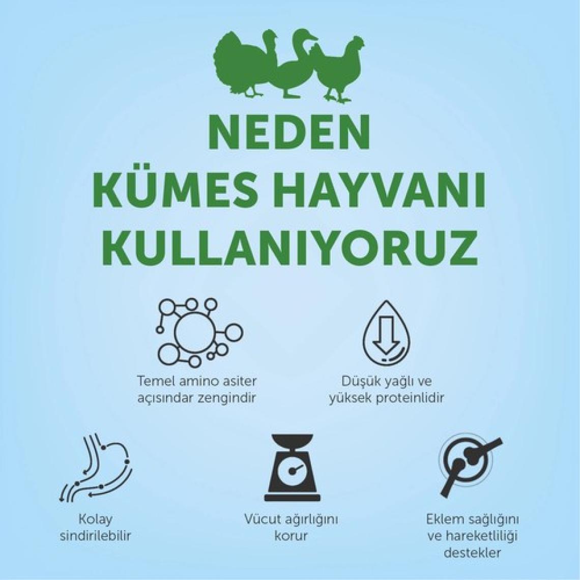 Nature's Protection Sterilised Kümes Hayvanlı Kısırlaştırılmış Yetişkin Kedi Maması 2kg