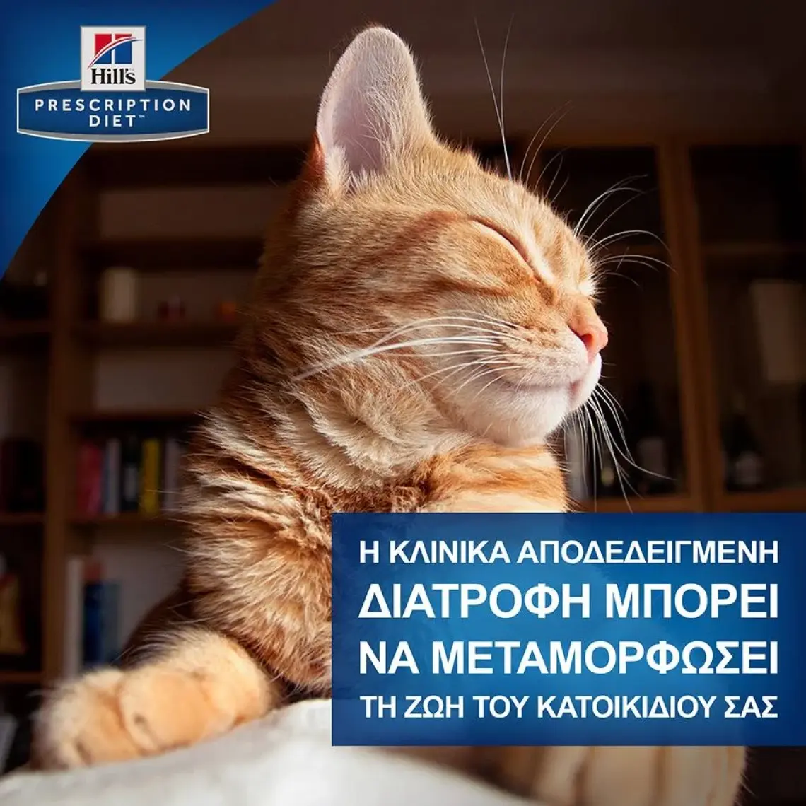 Hıll's Prescrıptıon Dıet Gastrointestinal Biome Kedi Maması 1.5 kg