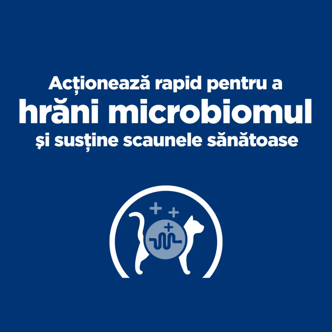 Hıll's Prescrıptıon Dıet Gastrointestinal Biome Kedi Maması 1.5 kg