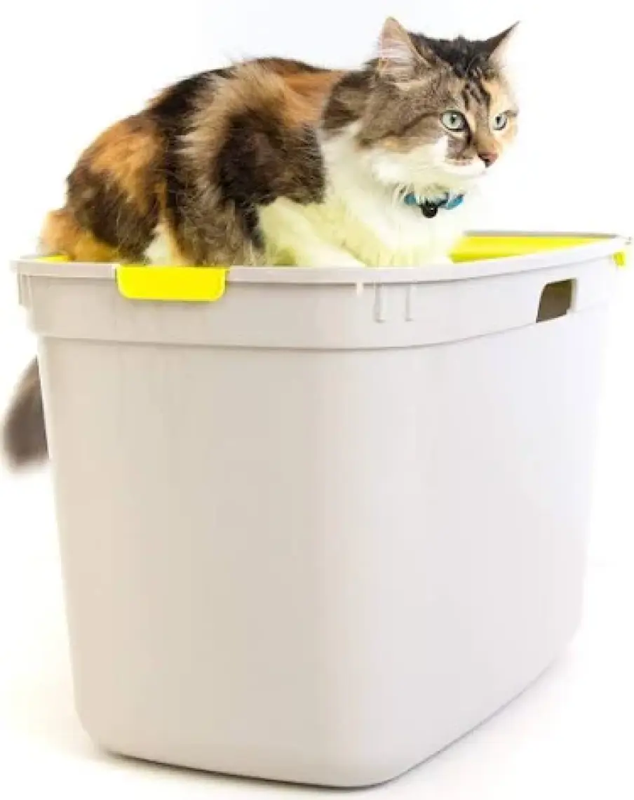 Moderna Top Cat Üstten Girişli Kapalı Kedi Tuvaleti Gri