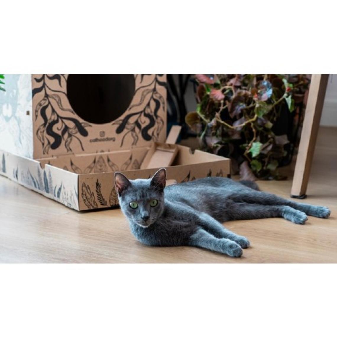 Narım Organik Portatif Karton Kedi Tuvaleti -2 kg Kedi Kumu Hediyeli-