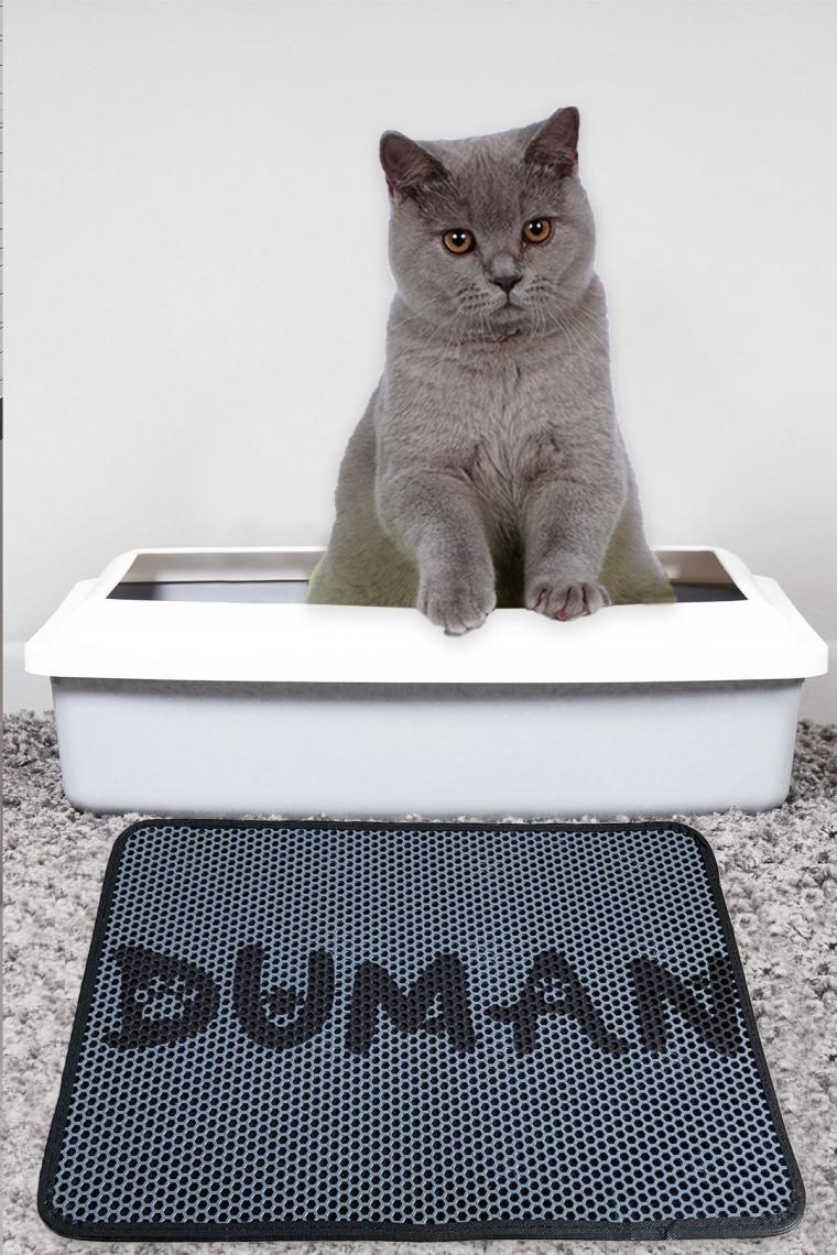 Kedi Kumu Paspası, Elekli Duman