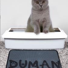 Kedi Kumu Paspası, Elekli Duman