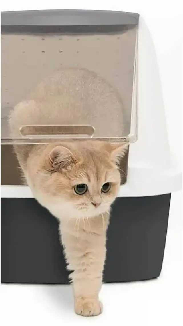 Cat İt Kapalı Kedi Tuvaleti Gri