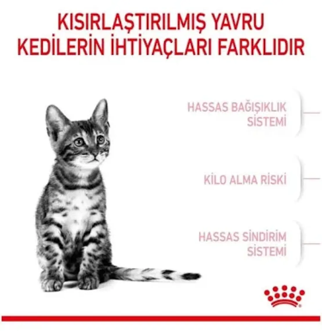 Royal Canin Steril Kedi 2kg