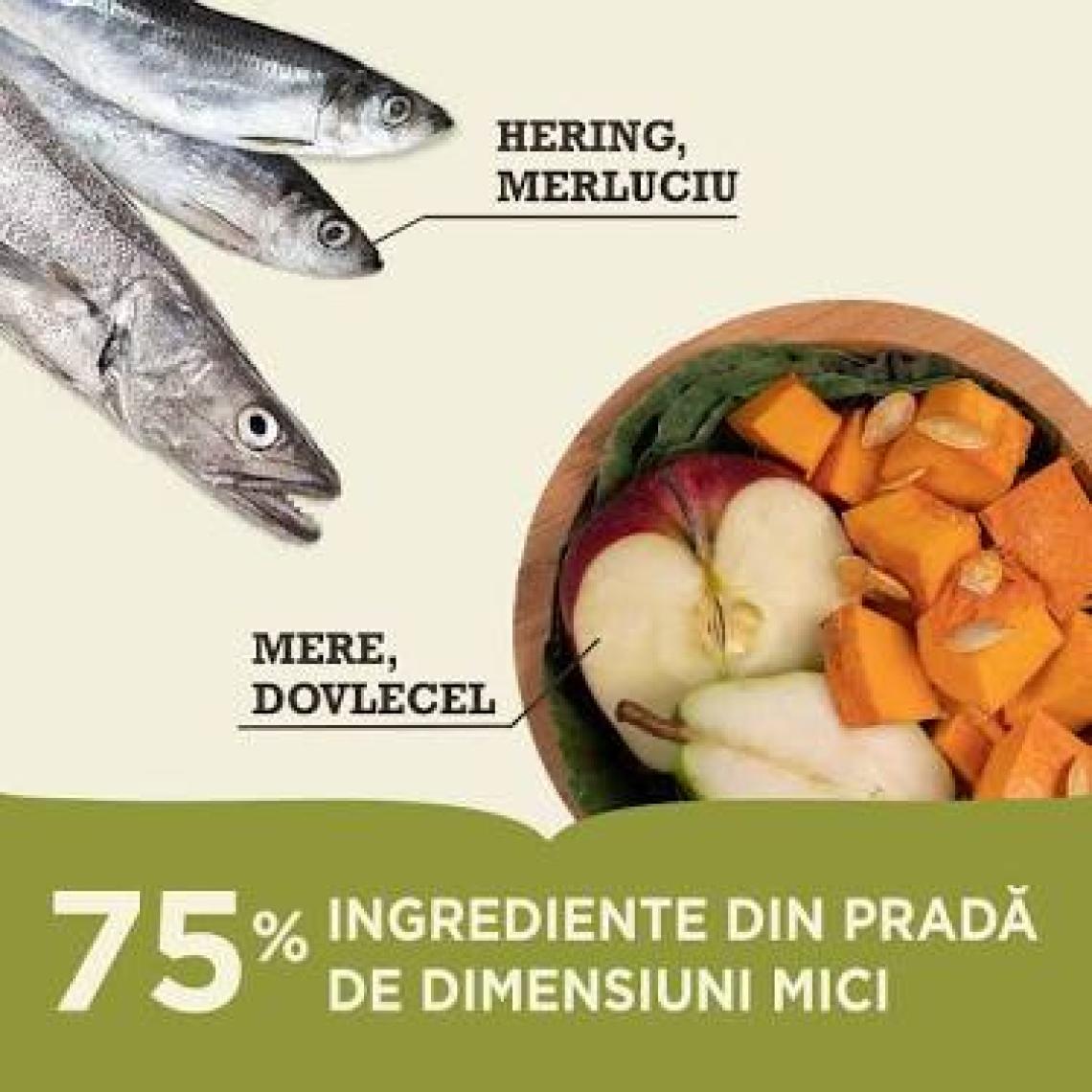 Acana Pacifica Tahılsız Kuru Kedi Maması 1,8 kg