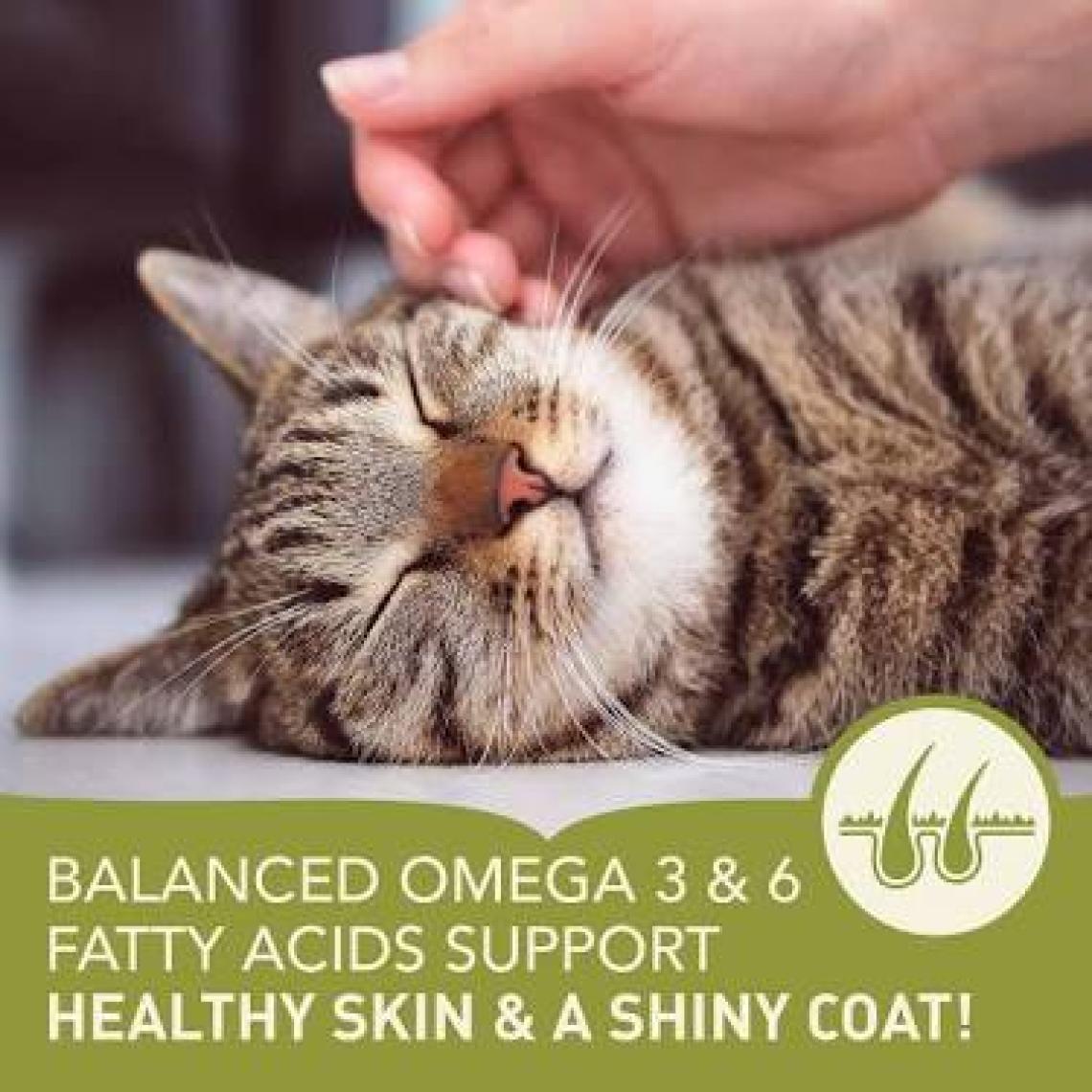 Acana Pacifica Tahılsız Kuru Kedi Maması 1,8 kg
