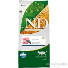 N&D Prime Tahılsız Kuzu Etli ve Yaban Mersinli 10 kg Yetişkin Kedi Maması
