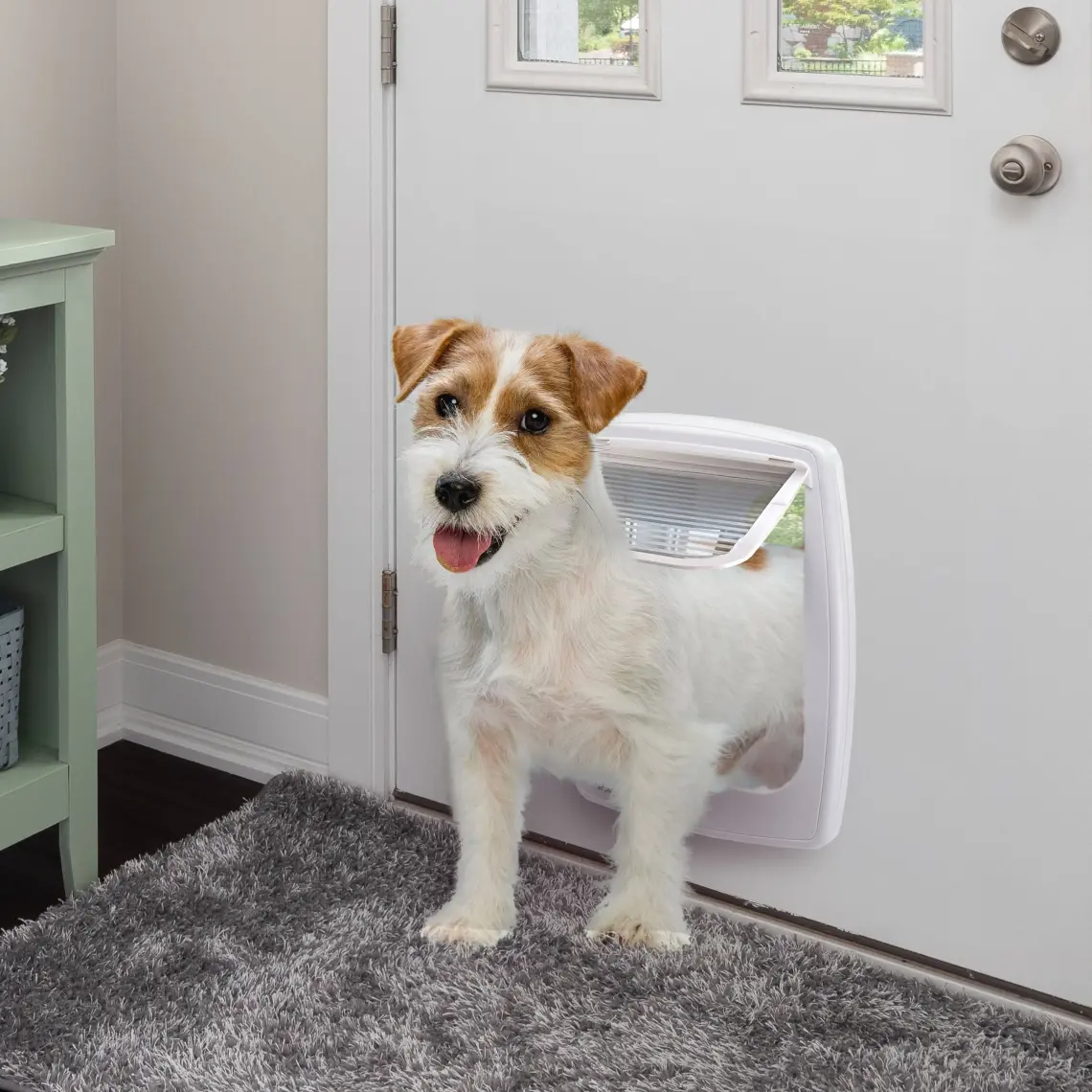 Ferplast Swıng 11 T Köpek Kapısı Beyaz