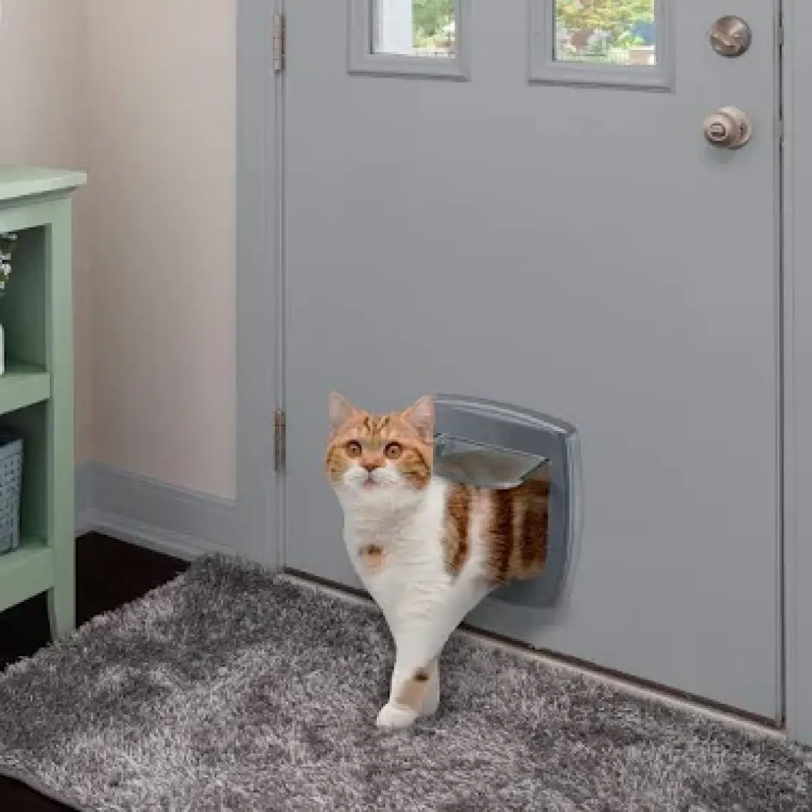 Ferplast Swing 1 Beyaz Kedi Kapısı
