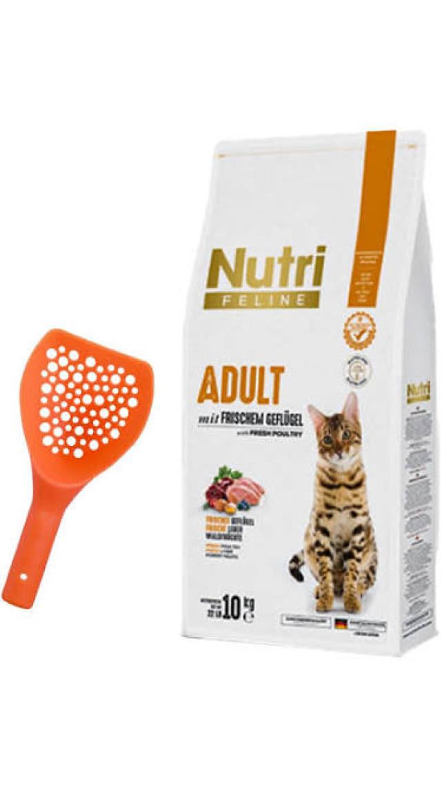 Nutri Feline Kitten Tavuklu Yavru Kedi Maması 10 kg