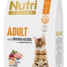 Nutri Feline Kitten Tavuklu Yavru Kedi Maması 10 kg