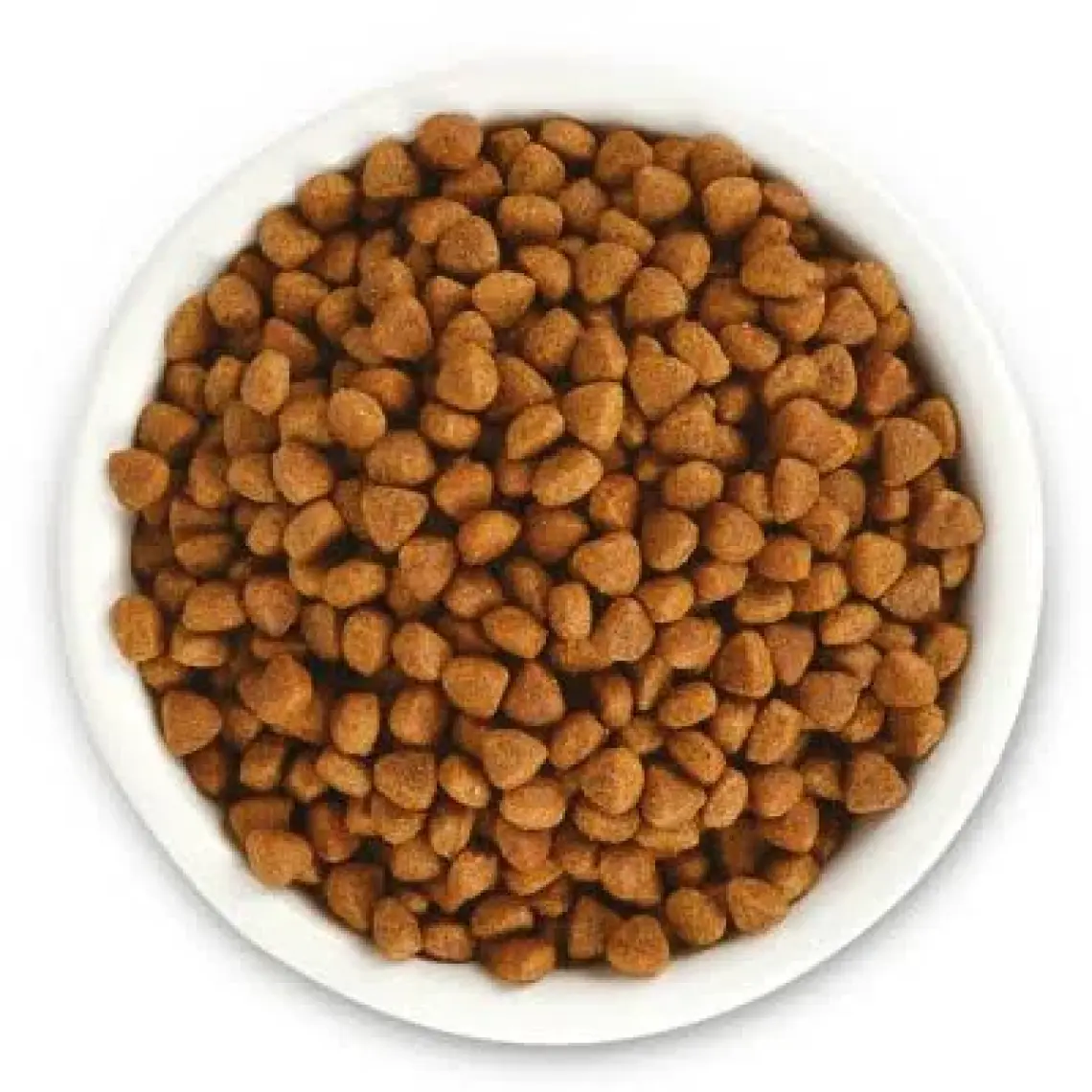 Jungle 500 Gr Tavuklu Yavru Kedi Maması