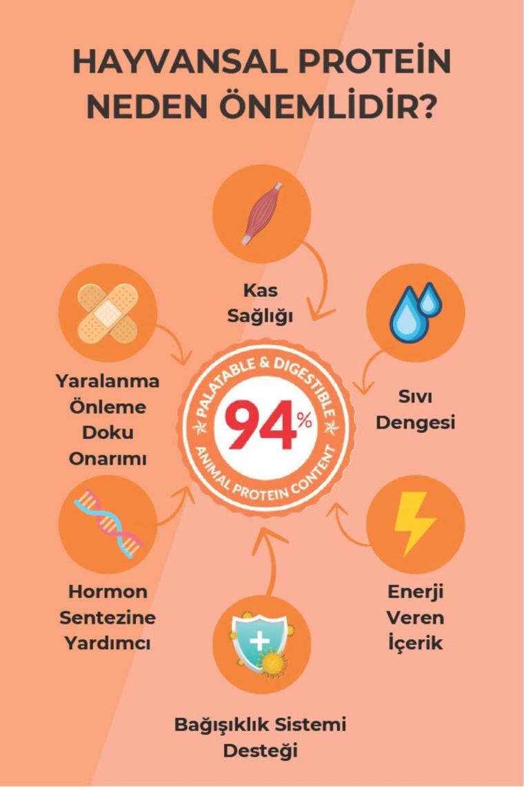 Petline Petline Süper Premium Lovely - Somonlu Yavru Kedi Maması 1,5kg