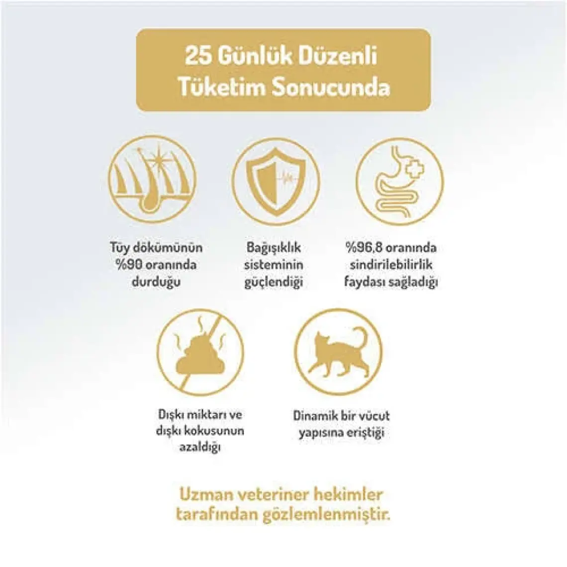Felicia Az Tahıllı 2 kg Yavru Kuzu Etli Hypoallergenic Kedi Maması