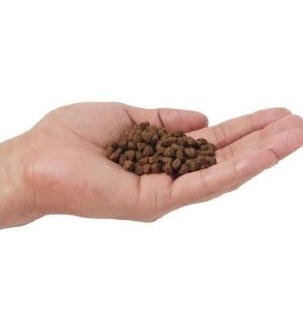 Nd Tahılsız Kitten Tavuk Nar Yavru Kedi Maması 10 Kg