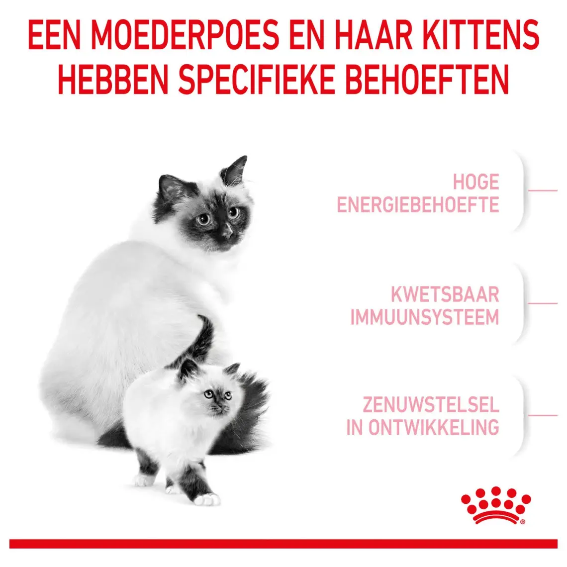 Royal Canin® Mother & Babycat Yavru Kedi Maması 2 Kg