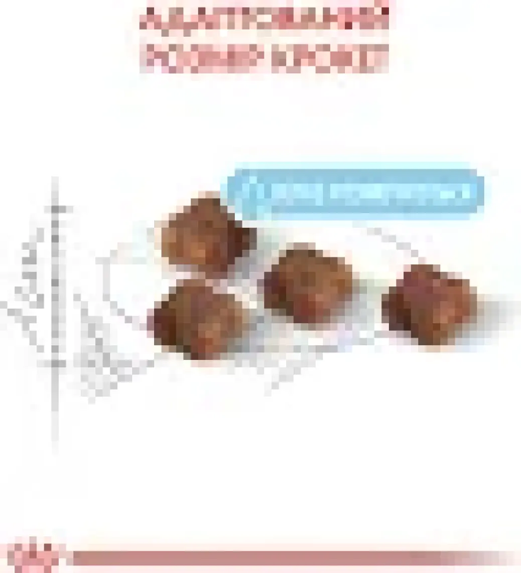 Royal Canin® Mother & Babycat Yavru Kedi Maması 2 Kg