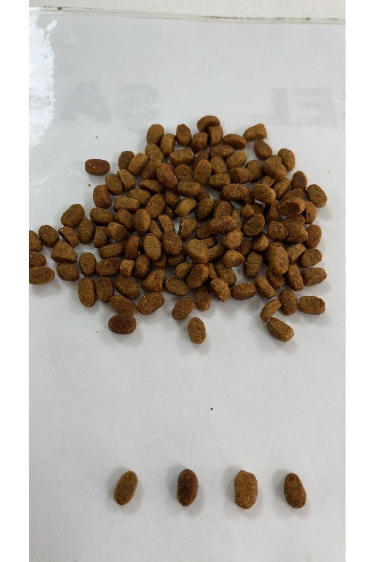 How Meow Premium Tavuklu Yavru Kedi Maması 15 kg
