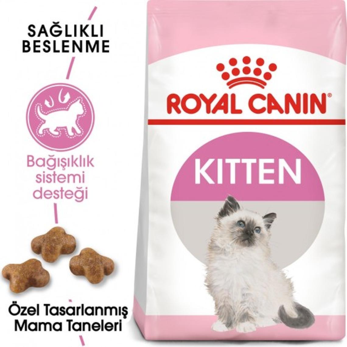 Royal Canin Premium Segment Yavru Kedi Maması 2 kg - İstiridye Aromalı, Fransa Menşeli, Vitamin ve Mineral Takviyeli