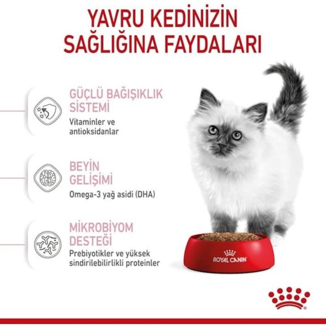 Royal Canin Premium Segment Yavru Kedi Maması 2 kg - İstiridye Aromalı, Fransa Menşeli, Vitamin ve Mineral Takviyeli
