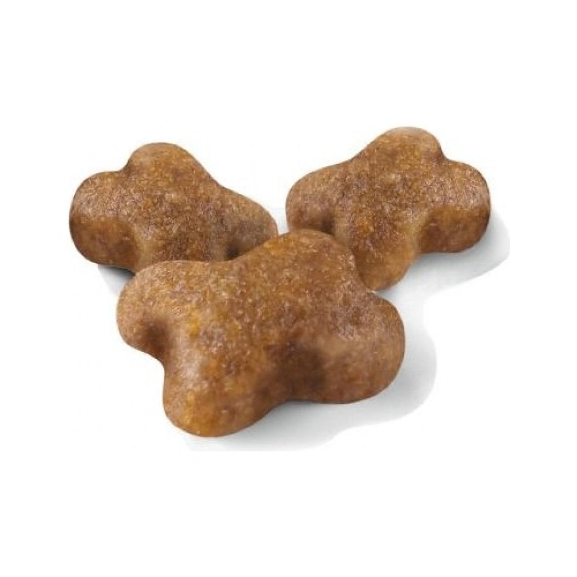 Royal Canin Premium Segment Yavru Kedi Maması 2 kg - İstiridye Aromalı, Fransa Menşeli, Vitamin ve Mineral Takviyeli