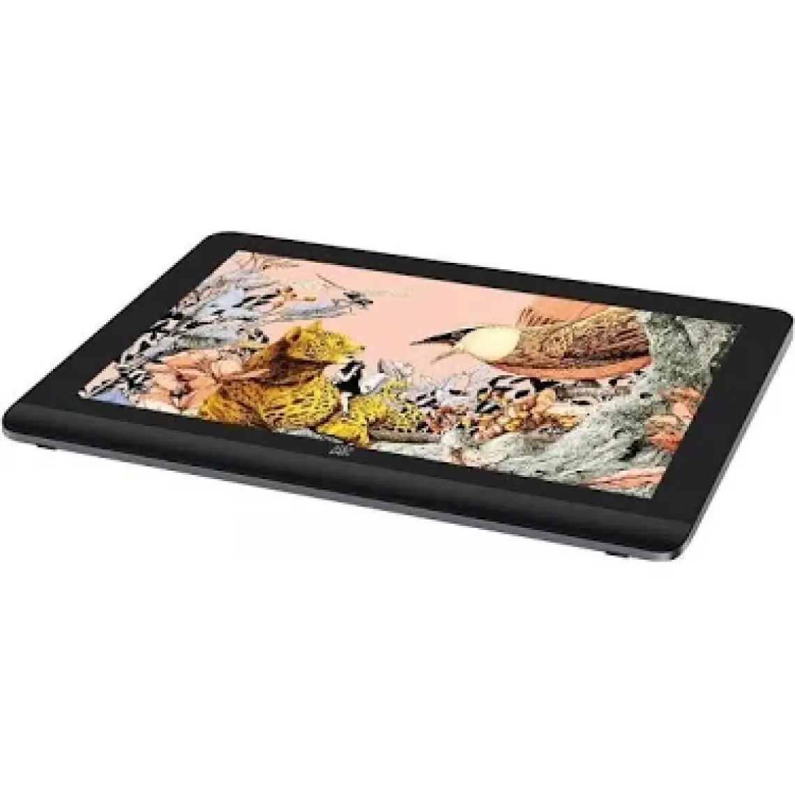 Xp-Pen Artist Pro 16 Grafik Ekran Tablet 2nd Generation
