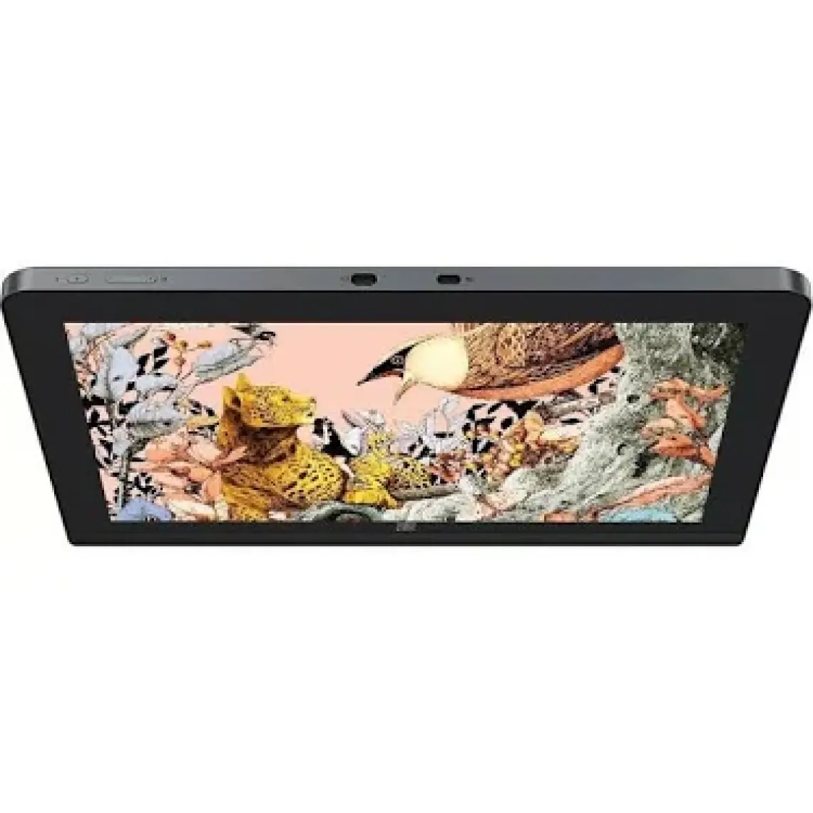 Xp-Pen Artist Pro 16 Grafik Ekran Tablet 2nd Generation