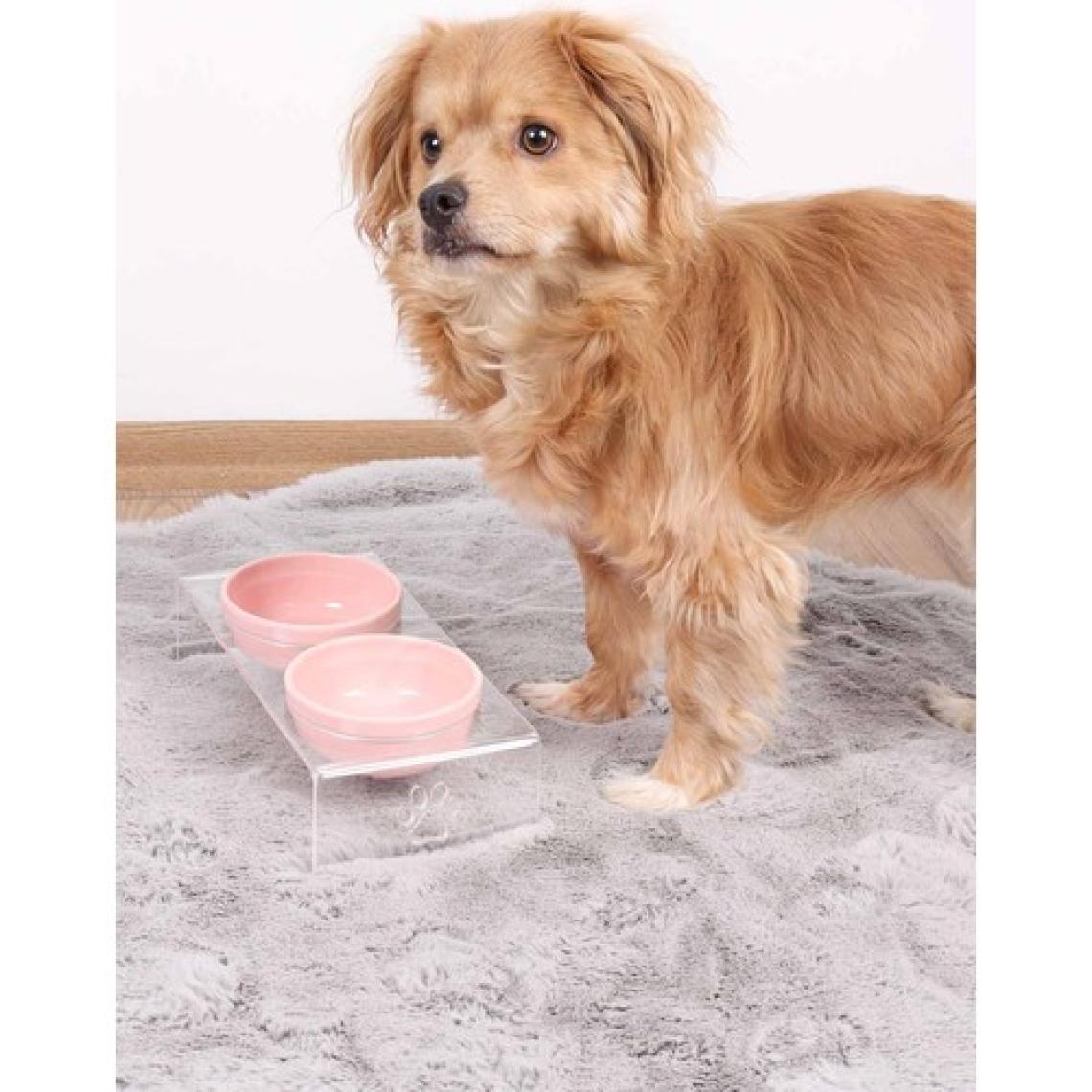 GOBYPET Kedi ve Köpek Dekoratif 2'li Seramik Pleksi Mama & Su Kabı + Kedi Paspası Pembe