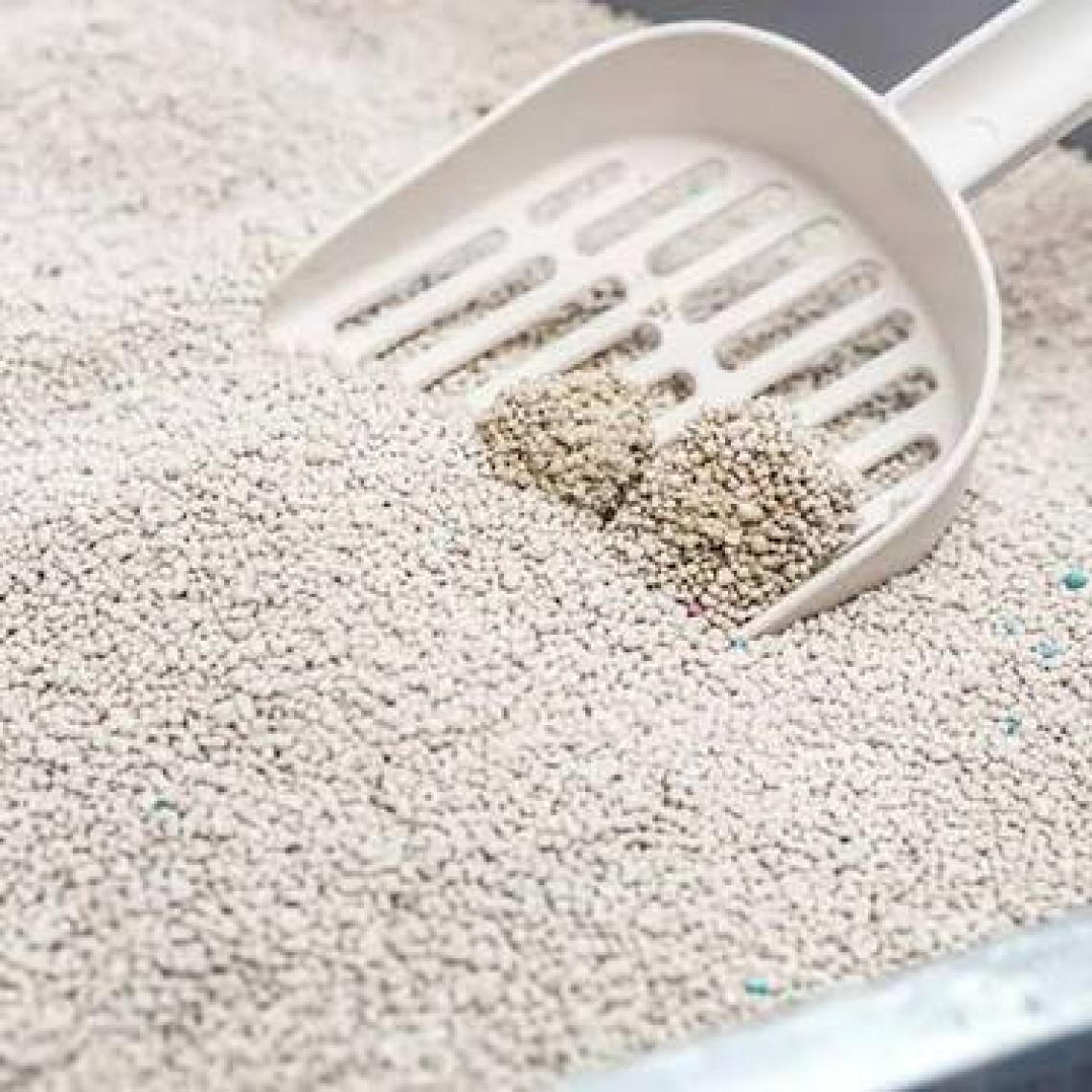 Biokat's Pelet Kedi Kumu Eco Light Extra 5lt (Aktif Karbonlu)
