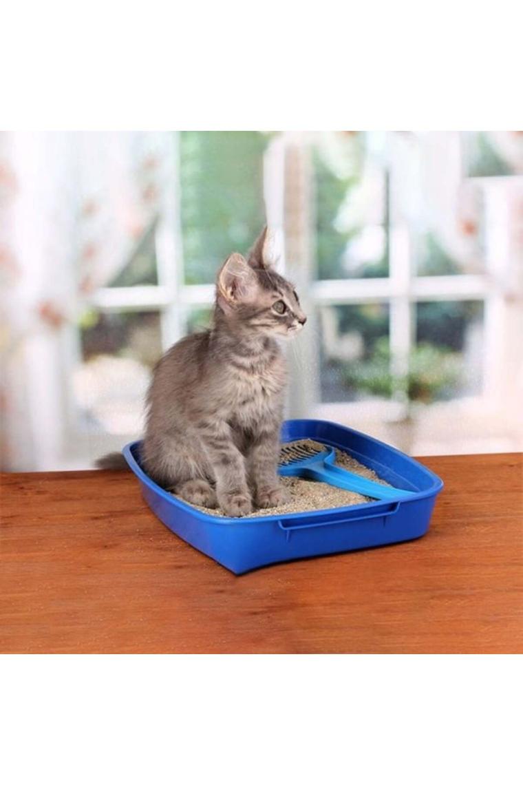 Plus Proline Proline Kedi Kumu Bebek Pudrası Bentonit 5lt